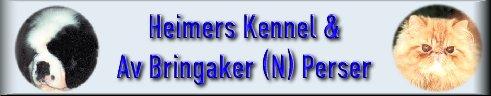 Heimer's Shanktbernard Kennel...